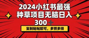 2024小红书最强种草项目,无脑日入300+,复制粘帖即可,多劳多得-享创网