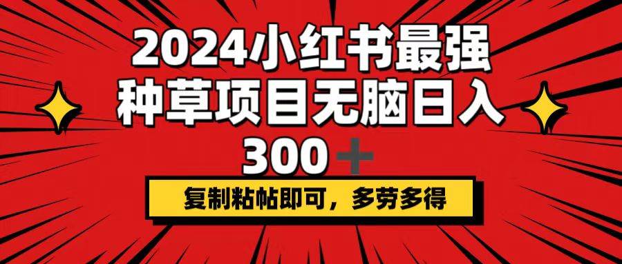 2024小红书最强种草项目，无脑日入300+，复制粘帖即可，多劳多得-享创网