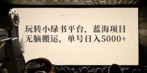 玩转小绿书平台，蓝海项目，无脑搬运，单号日入5000+-享创网