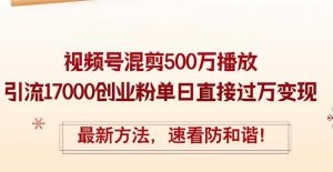 精华帖视频号混剪500万播放引流17000创业粉,单日直接过万变现,最新方…-享创网