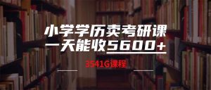 小学学历卖考研课程,一天收5600(附3580G考研合集)-享创网