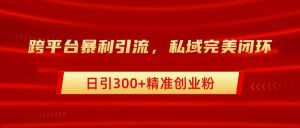 跨平台暴力引流,私域完美闭环,日引300+精准创业粉-享创网