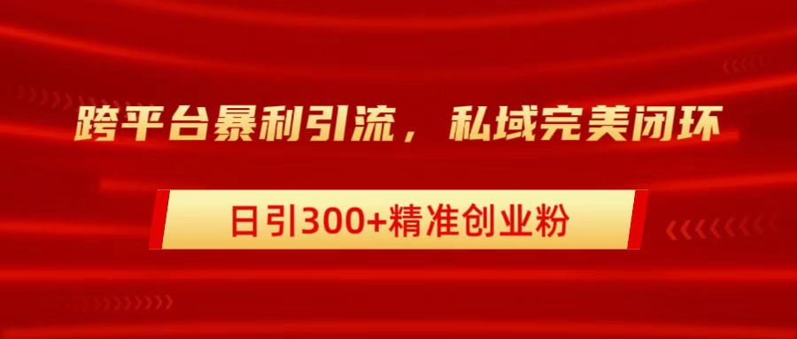 跨平台暴力引流，私域完美闭环，日引300+精准创业粉-享创网