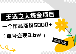 天选之人炼金热门项目,一个作品涨粉5000+,单号变现3.6w-享创网