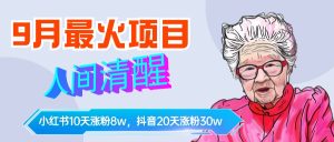 9月最火项目，人间清醒柒奶奶，10天小红薯涨粉8w+，单篇笔记报价1400.-享创网