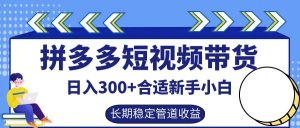 拼多多短视频带货日入300+实操落地流程-享创网