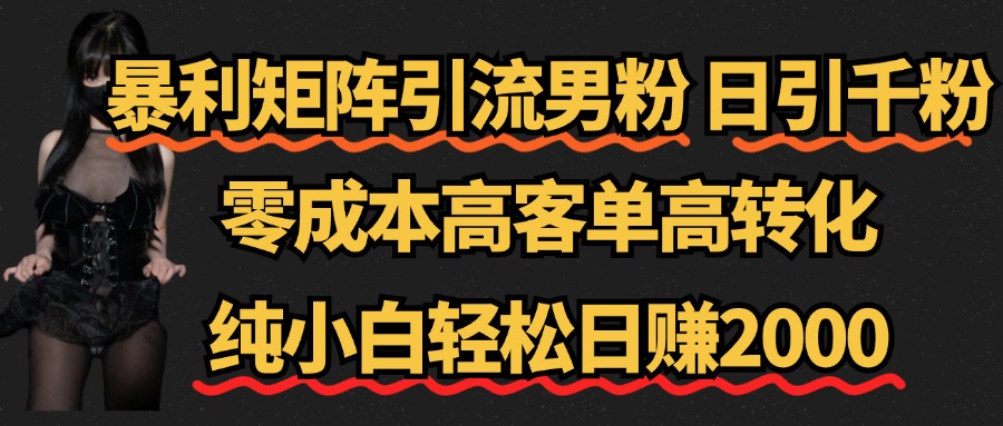 暴利矩阵引流男粉（日引千粉），零成本高客单高转化，纯小白轻松日赚2000+-享创网