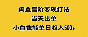 闲鱼高阶变现打法，当天出单，小白也能单日收入500+-享创网
