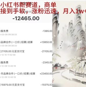 小红书新赛道，商单接到手软，涨粉迅速，一个月1w+-享创网