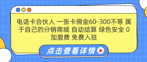 号卡合伙人 一张佣金60-300不等 自动结算 绿色安全-享创网