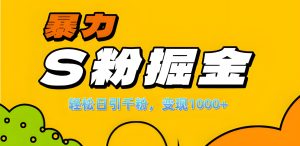 单人单机日引千粉,变现1000+,S粉流量掘金计划攻略!-享创网