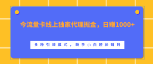 流量卡线上独家代理掘金，日赚1000+ ，多种引流模式，新手小白轻松赚钱-享创网