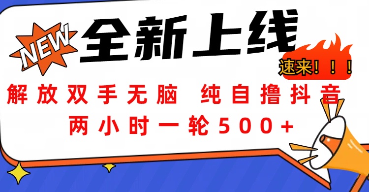 解放双手无脑 纯自撸抖音 两小时一轮500+-享创网