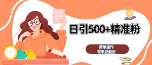 日引500+精准粉  简单操作 有手就能做-享创网