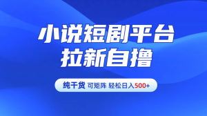 【纯干货】小说短剧平台拉新自撸玩法详解-单人轻松日入500+-享创网