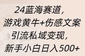 24蓝海赛道，游戏黄牛+伤感文案引流私域变现，新手日入500+-享创网