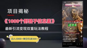 【独家】抖音一千个野路子信息差最新玩法教程–引流＋变现-享创网