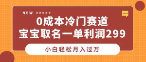 0成本冷门赛道，宝宝取名一单利润299，小白轻松月入过万-享创网