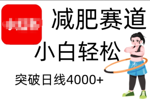 小红书减肥赛道，小白轻松日利润4000+-享创网