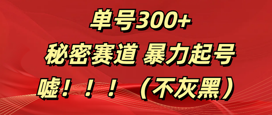 单号300+  秘密赛道 暴力起号  （不灰黑）-享创网